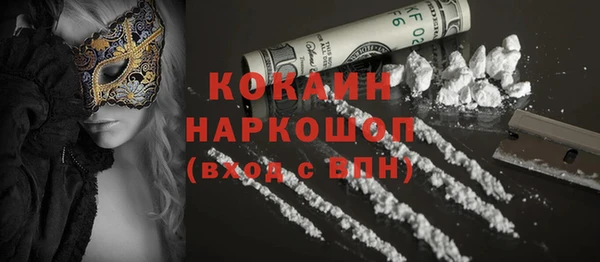 индика Алексеевка